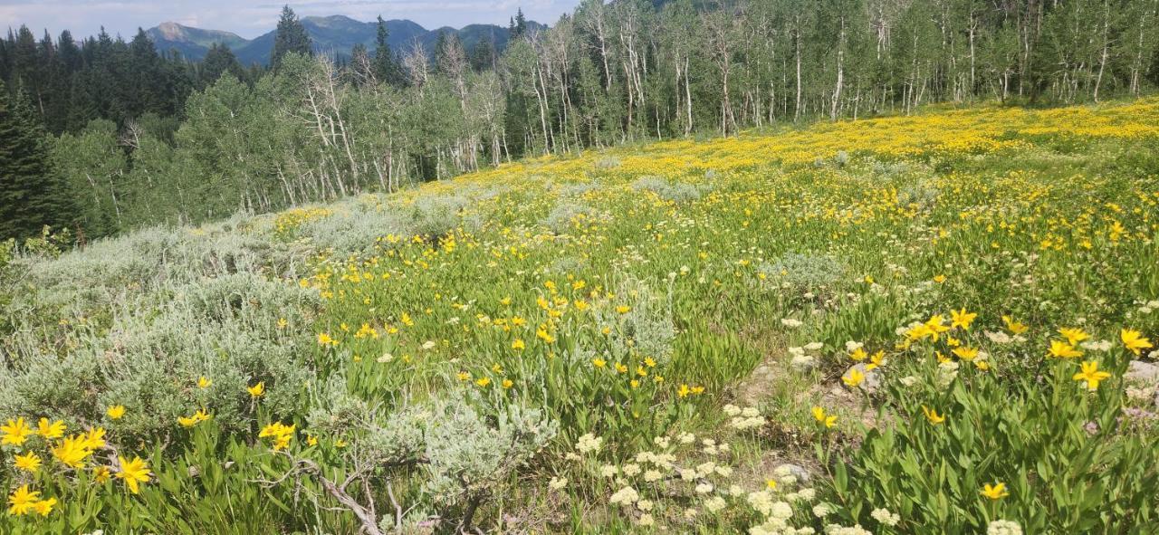 Stunning At Solitude, Steps From Chair Lift, East #103 Brighton Luaran gambar