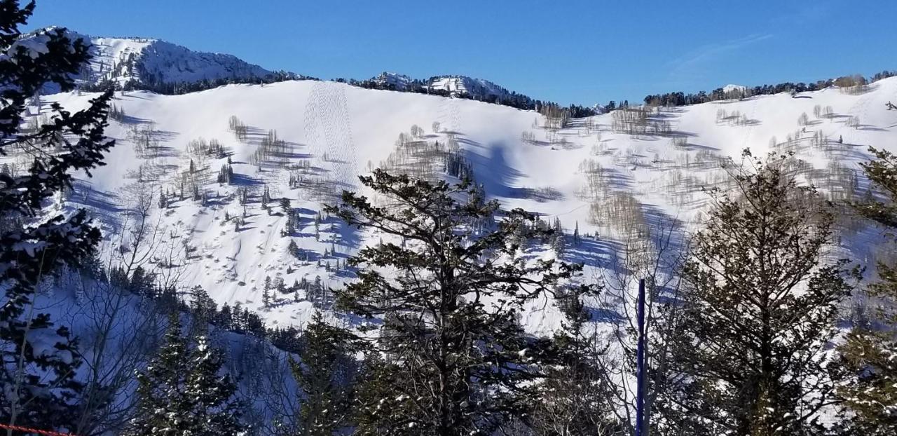 Stunning At Solitude, Steps From Chair Lift, East #103 Brighton Luaran gambar